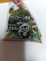 KOC 特別栽培ベビーリーフ 30g