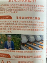 メイトー 農協果汁 みかん 900ml