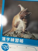 ニッケン文具 B5漢字練習帳120字