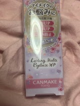 キャンメイク ラスティングマルチアイベース WP 01
