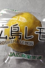 JA広島果実連 みかん