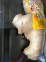 向井 囲い生姜高知 100g