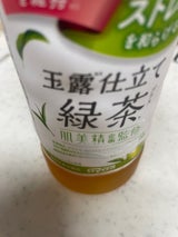 ダイドー 肌美精 玉露仕立緑茶プラス 500ml