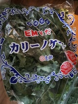 北浦みつば ケール 50g