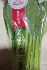 マルシン こまつな 1P