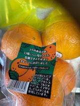 ケーアイ ネーブルオレンジ/袋/ケミカル