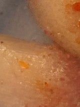 博多まるきた 辛子明太子 120g