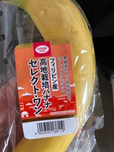 COOP スティックバナナ パック