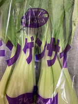 フレックス チンゲン菜