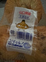 全農山口 たまねぎ 1P