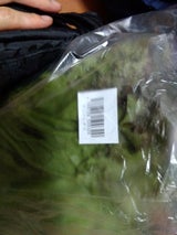 セレクション サニーレタス 1個