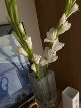 松本屋 洋花 450