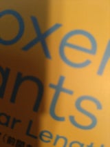 ハクタカ レトロスタンダードブリーフL