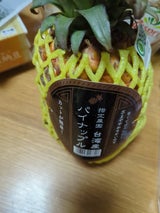 ワールドフルーツ 台湾パイン 10kg