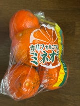 神戸洋行 ミネオラオレンジ 1P