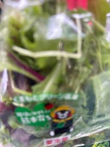 ベジタブルユー ベビーリーフ 40g