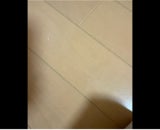 雪印北海道100 カマンベールチーズ 100g