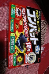 大日本除蟲菊 コンバット 1年用 4個