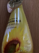 ディアボーテ オイルインSPP(R&R)500ml