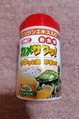 イトスイ コメット カメサクッ! 34g