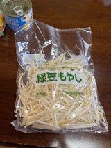 豊岡中央 もやし