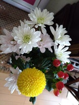 デリフラワー 生花