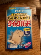 デルガード クイックパッド 大きめサイズ 6枚