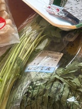 玉晶 むきごぼう