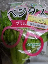 スプレッド ベジタス フリルレタス 1P