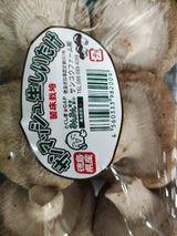 サンコウF なましいたけ 1P