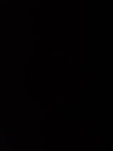 東ハト ポテコうましお味 70g