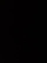 サイキ食品 もやし野菜炒め 230g