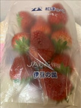 JA静岡 いちご 紅ほっぺ 300g