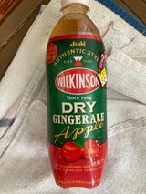 WKドライジンジャエールアップルPET 500ml