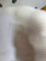 源清田 にんにく中国産 1P