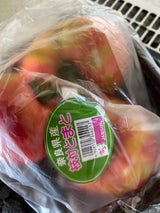 JA奈良 枝付とまと