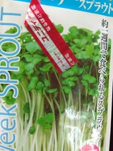 アタリヤ農園 スプラウト ブロッコリー