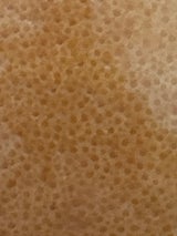 近畿通商 クリムゾンオーストラリア産 1P