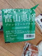 海洋牧場 ブロッコリーの新芽