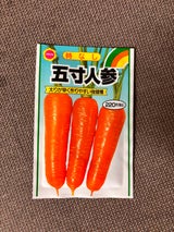 アタリヤ 時なし 五寸人参