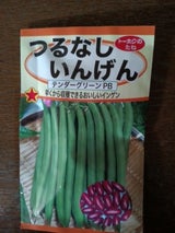 トーホク いんげん 1P