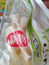 上沖産業 浅漬らっきょう 袋 100g