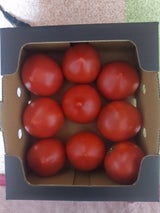 うえなか トマト 1kg