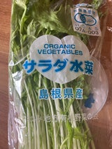 いわみ サラダ菜 1P