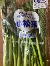 いわみ こまつな 1P