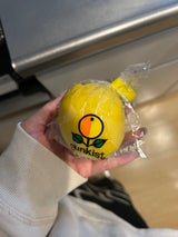 サンキスト レモン 1P