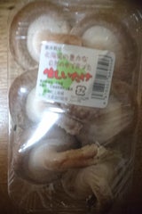 森 生椎茸 100g