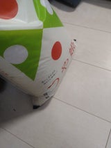 神明 山形つや姫 5kg