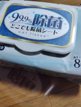 日新 どこでも除菌 ウェットシート 80枚