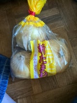 坂本青果 新たまねぎ 1kg